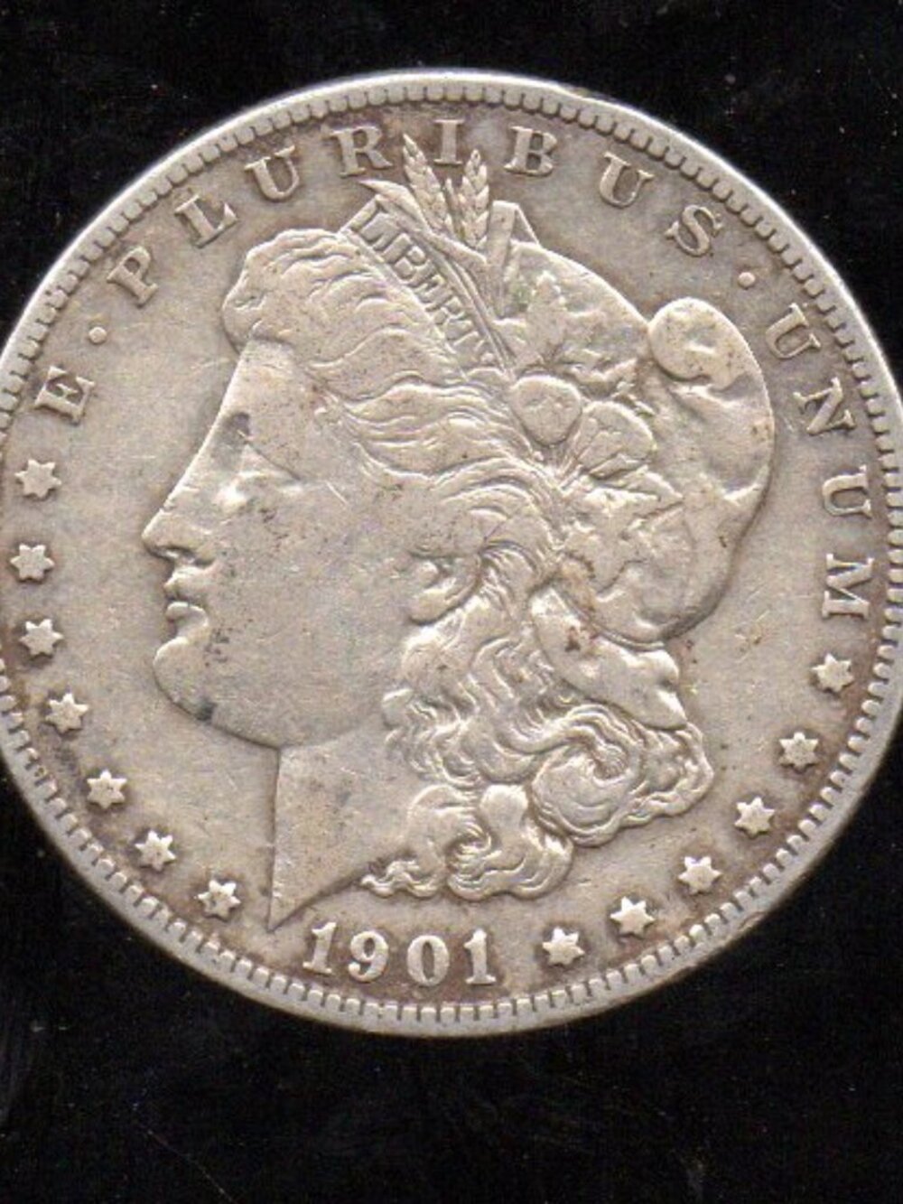Key Date - 1901 Morgan Silver Dollar